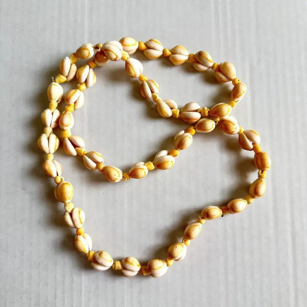 Vintage cowrie shell